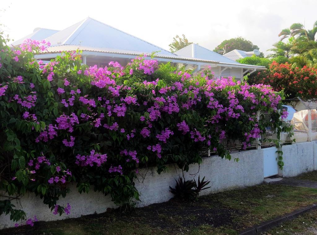 Bungalow Soleil Sainte-Anne (Grande-Terre) Exterior foto